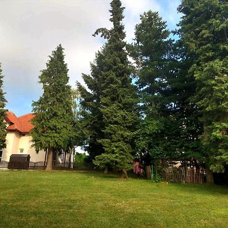 Kuca Za Odmor Zlatibor Villa Ngoại thất bức ảnh
