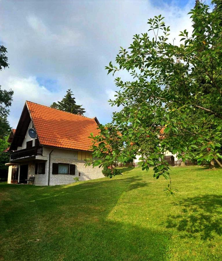 Kuca Za Odmor Zlatibor Villa Ngoại thất bức ảnh