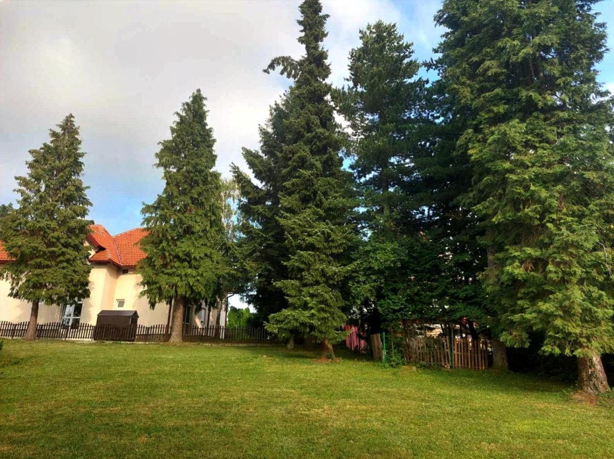 Kuca Za Odmor Zlatibor Villa Ngoại thất bức ảnh
