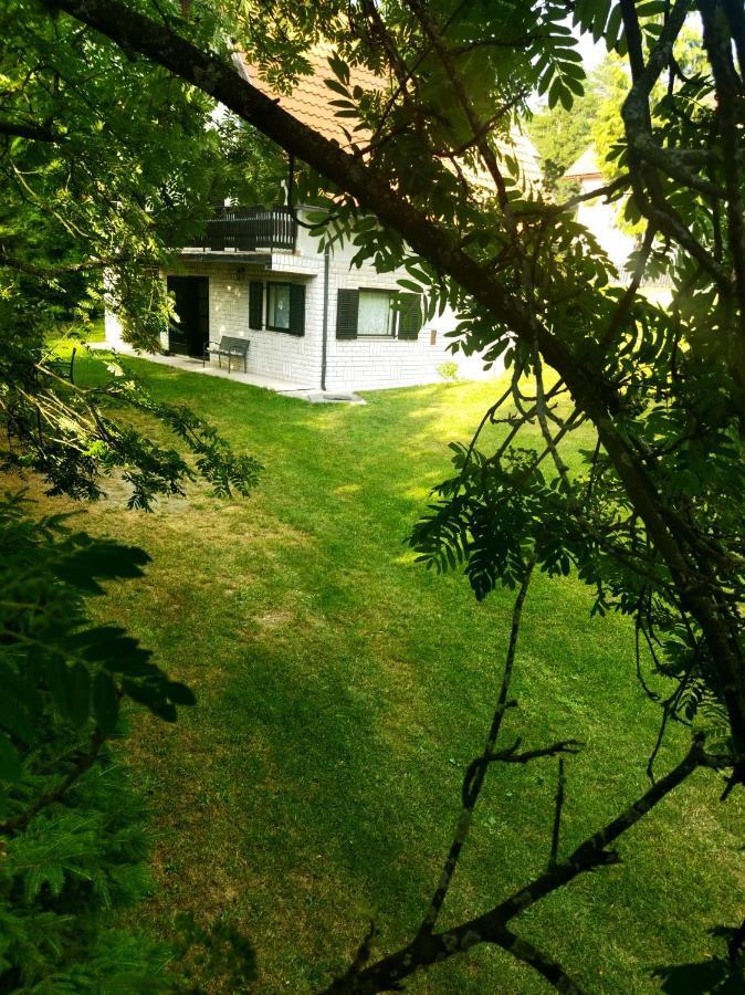 Kuca Za Odmor Zlatibor Villa Ngoại thất bức ảnh